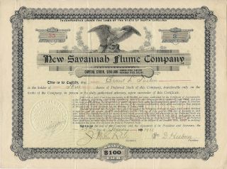 North Carolina,  Savannah Flume Company Stock Certificate 1911 photo