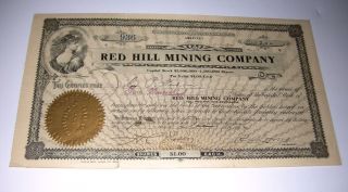 1906 Red Hill Mining Company Goldfield Nevada Gold Mining Stock Certificate photo