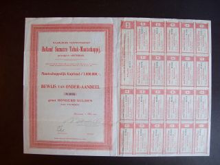 Netherlands 1904 Bond Certificate Holland Sumatra Tabak Amsterdam. .  A9790 photo
