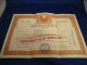 Stock Certificate 500 Shares Western Nebraska Oil & Uranium Co.  1956 Mining De Stocks & Bonds, Scripophily photo 4