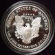 1993 P Proof Ase 1 Oz Ogp American Silver Eagle Complete Case Box Coins: US photo 2