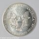 1990 United States Silver Eagle Dollar (ccx3943) Silver photo 1
