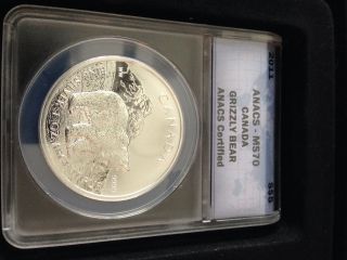 2011 Anacs Ms70 Canada Grizzly Bear Silver Coin $5.  9999 Pure Silver photo