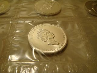 1993 1 Oz Canada Silver Maple Leaf Round Coin - Orig Plastic -.  9999 Fine Ag. photo