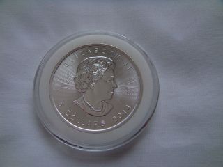 2014 Canadian Silver Maple Leaf Round Coin - One Troy Ounce -.  9999 Fine Silver. photo