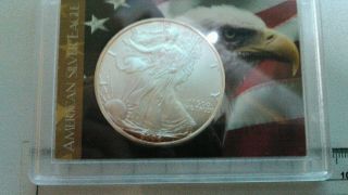1 Oz Silver 2006 American Eagle Coin photo