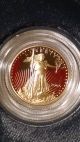 2005 $5 Proof American Gold Eagle 1/10 Oz Coin W/ Gold photo 1
