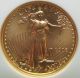 2003 $5 American Gold Eagle Ngc Ms - 69 (1/10 Oz) Brown Label & Ins Gold photo 4