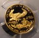 2002 W Gold 1/10th Ounce Eagle Pcgs Pr70dcam Perfect Coin Gold photo 7