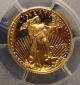 2002 W Gold 1/10th Ounce Eagle Pcgs Pr70dcam Perfect Coin Gold photo 8