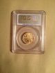 2005 $10 U.  S.  Gold American Eagle Coin 1/4 Oz Pcgs Ms 69 First Strike Gold photo 1
