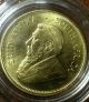 1 Ounce Gold Krugerrand 1982 Uc Coin. Gold photo 3