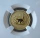 2004 Lunar Monkey,  Australia,  Ngc Ms 70,  $15,  1/10 Ounce,  Fine Gold Coin Gold photo 1