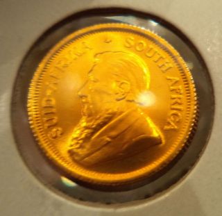 1982 African Gold Krugerrand 1/10 Ounce Gem Bu Coin From South Africa photo