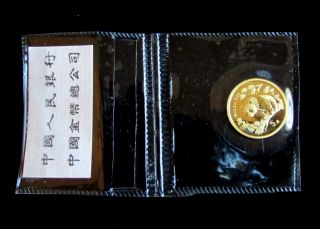 1997 Chinese (china) 1/20 Troy Oz.  Gold Panda 5 Yuan Bullion Coin - photo