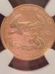 2009 $5 1/10 Oz American Gold Eagle Ngc Early Releases Ms 69 Gold photo 11