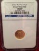 2007 W $5 1/10 Oz Burnished American Gold Eagle Ngc Early Releases Ms 69 Gold photo 1