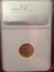 2007 W $5 1/10 Oz Burnished American Gold Eagle Ngc Early Releases Ms 69 Gold photo 3