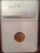 2007 W $5 1/10 Oz Burnished American Gold Eagle Ngc Early Releases Ms 69 Gold photo 4