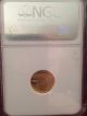 2007 W $5 1/10 Oz Burnished American Gold Eagle Ngc Early Releases Ms 69 Gold photo 5