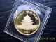 1982 Gold Panda Coin 1/10 Oz Bu Coin Ungraded Uncirculated Gold photo 1
