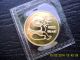 1982 Gold Panda Coin 1/10 Oz Bu Coin Ungraded Uncirculated Gold photo 2