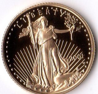,  2001 1/10 Th Oz.  Proof American Gold Eagle, photo