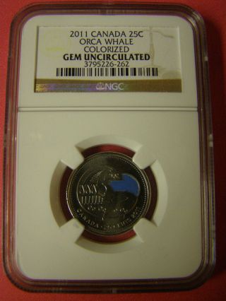 2011 Canada 25 Cent Ngc Gem Uncirculated Orca Whale Color photo