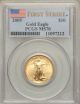2005 $10 Quarter - Ounce Gold Eagle,  First Strike Ms70 Pcgs Gold photo 1