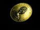 1 Oz Gold Maple Leaf 1985 50 Dollar Gold Coin 24kt Gold photo 1