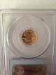 1999 W $5 Gold American Eagle Unfinished Proof Dies Error Pcgs Ms69 1/10oz Ounce Gold photo 1