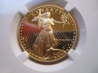 1987 P $25 American Gold Eagle,  Ngc Proof 69 Uc,  Low Mintage,  1/2 Oz. , photo