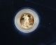 American Eagle 1/10 Oz Gold Bullion 5 - Dollar Proof Coin W/ Case & Box,  Us Gold photo 1