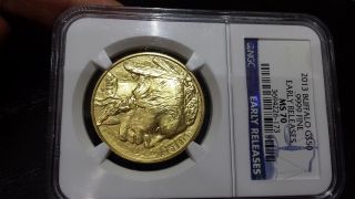 2013 Buffalo G$50.  9999 Fine Gold Early Release Ms 70 Ngc Dollar Coin photo