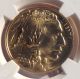 2009 1 Toy Oz 24k 0.  9999 Fine Gold American Buffalo Coin - Numismaticguartygroup Gold photo 2