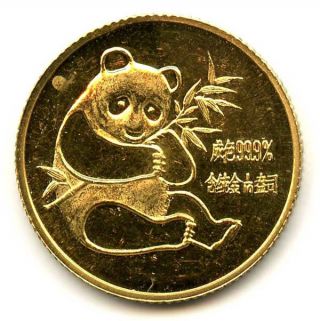1982 1/10 Oz Chinese Gold Panda 10 Yuan Rare Date Low Mintage photo
