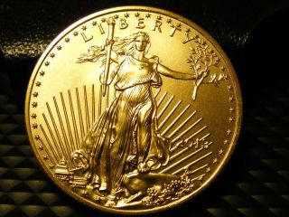 2013 Gold $25 American Eagle 1/2 Ounce State Uncirculated No Res photo