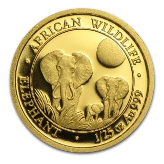 2014 1/25 Oz Gold Somalian African Elephant Coin - Sku 80197 photo