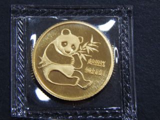 1982 1/10th Gold Panda First Year Of Issue Short Leaf Variety Coin 173 photo