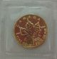 Gold 1999 Canada $5 1/10 Ounce Maple Leaf,  20 Years/ans Privy Mark, Gold photo 1