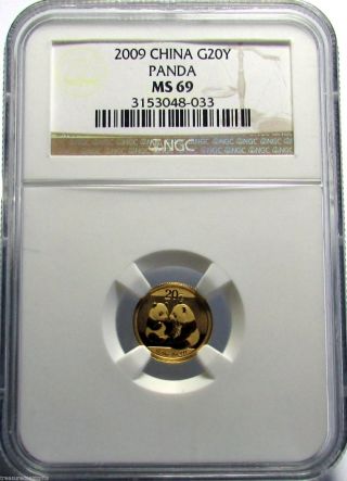 2009 Gold China Panda 1/20 Oz.  20y 20 Yuan Bullion Coin Ngc Ms69 photo