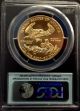 2013 1 Oz Gold American Eagle Ms - 70 Pcgs First Strike Gold photo 1