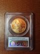 2007 - W $50 1 Oz.  Gold American Eagle Pcgs Ms70 First Strike Gold photo 1