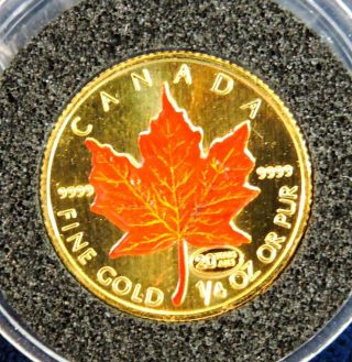 1999 Canadian 1/4 Oz.  $10 Gold Maple Leaf Bu Colorized Coin photo
