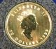 1999 Canadian 1/4 Oz.  $10 Gold Maple Leaf Bu Colorized Coin Gold photo 1