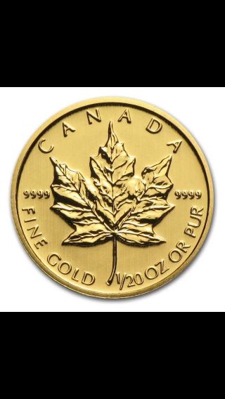 1/20 Oz Gold Canadian Maple Leaf photo