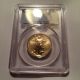 2004 Gold $25 American Eagle 1/2 Ounce Coin Graded By Pcgs Ms69 Gold photo 2