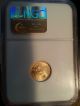 2003 1/10 Oz Gold American Eagle Ms - 69 Ngc Gold photo 1