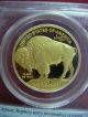 2010 - W $50 Gold American Buffalo Pcgs Pr70 Dcam 