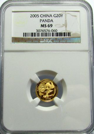 2005 Ngc Ms69 20 Yuan Gold China Panda 1/20 Oz.  Bullion Coin - Brown Label photo